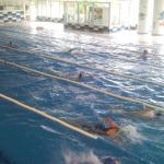 Campeonato de natación de Zalla